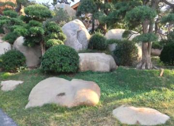 園林景觀(guān)綠化